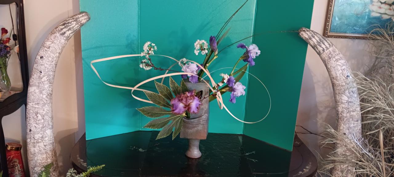 Profile photo 13 of 17