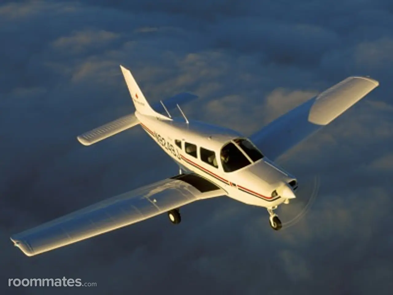 Profile photo 2 of 2