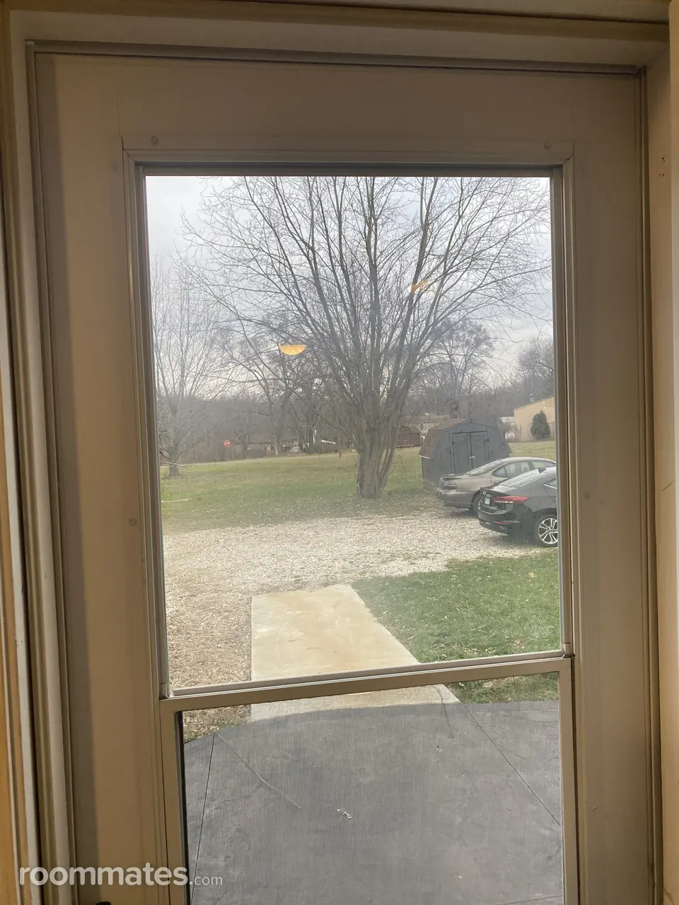 Profile photo 10 of 15