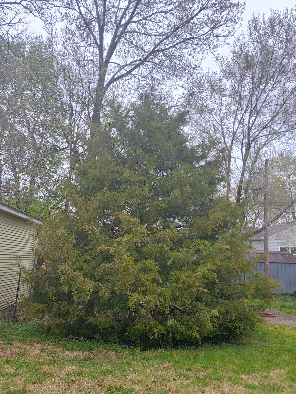 Profile photo 10 of 11