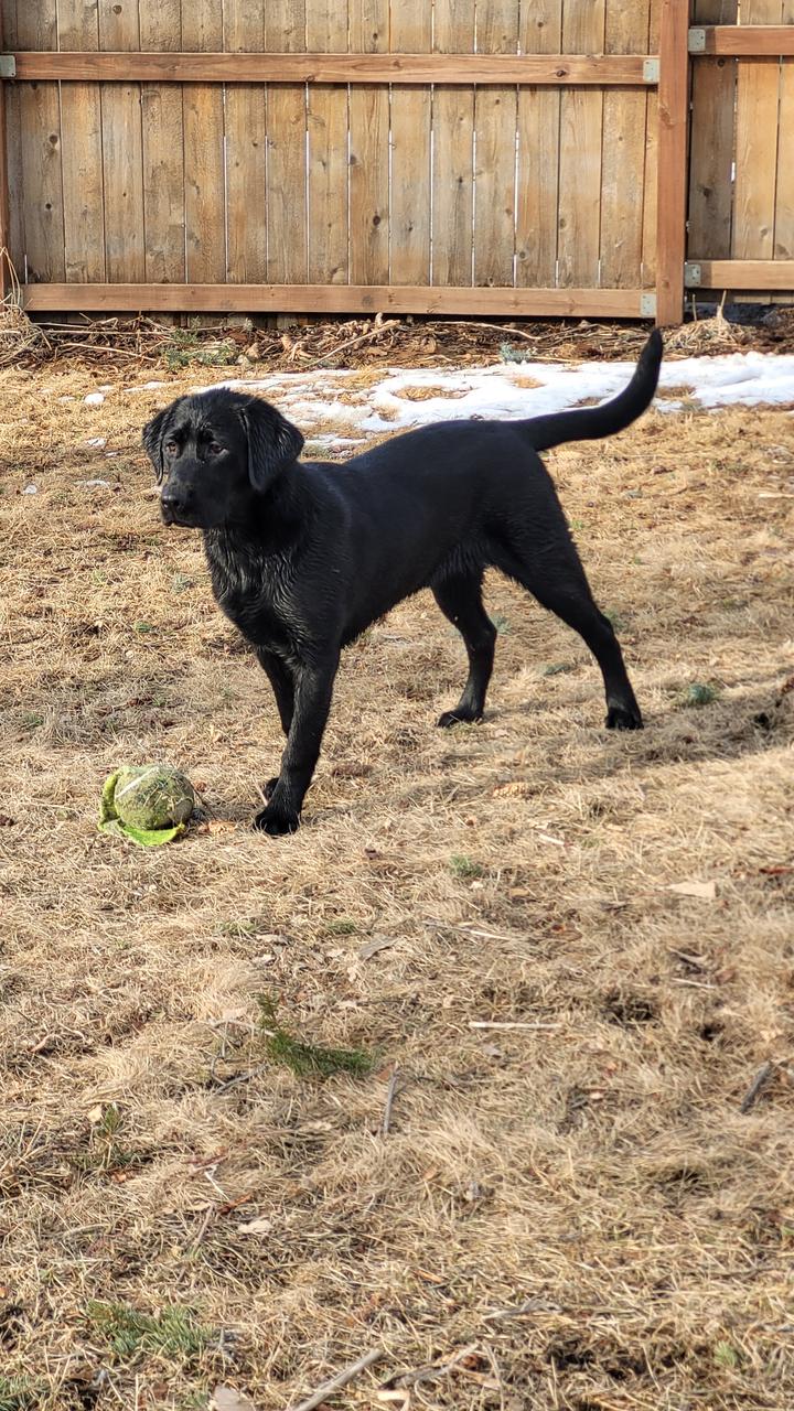 Profile photo 9 of 11