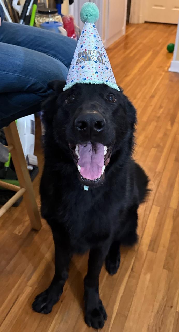 Profile photo 7 of 11