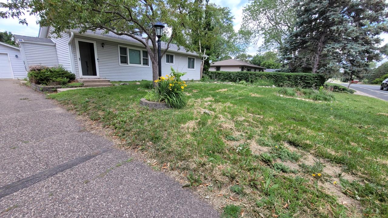 Profile photo 4 of 11