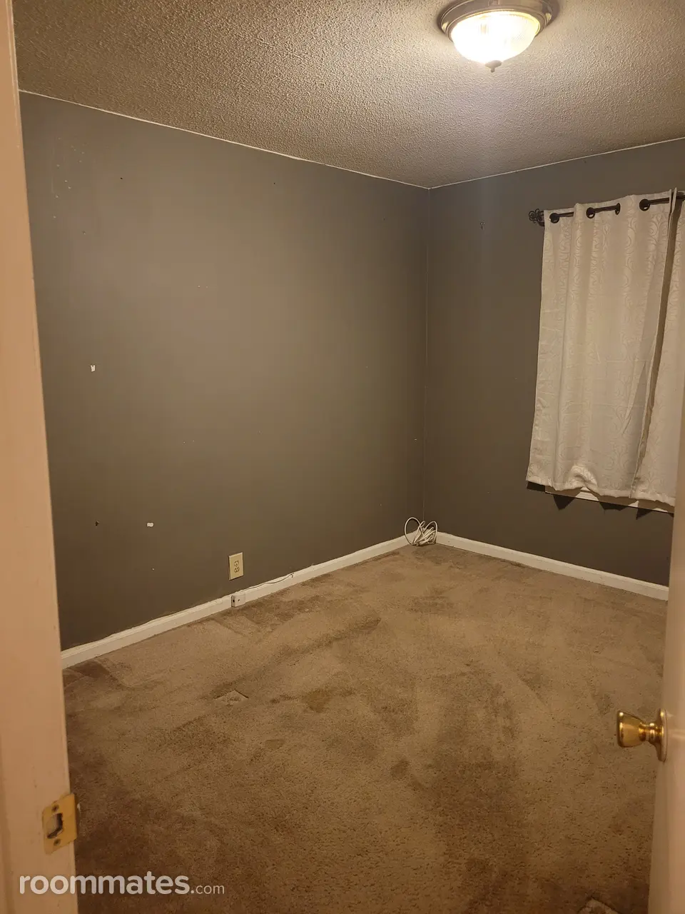 Profile photo 6 of 8