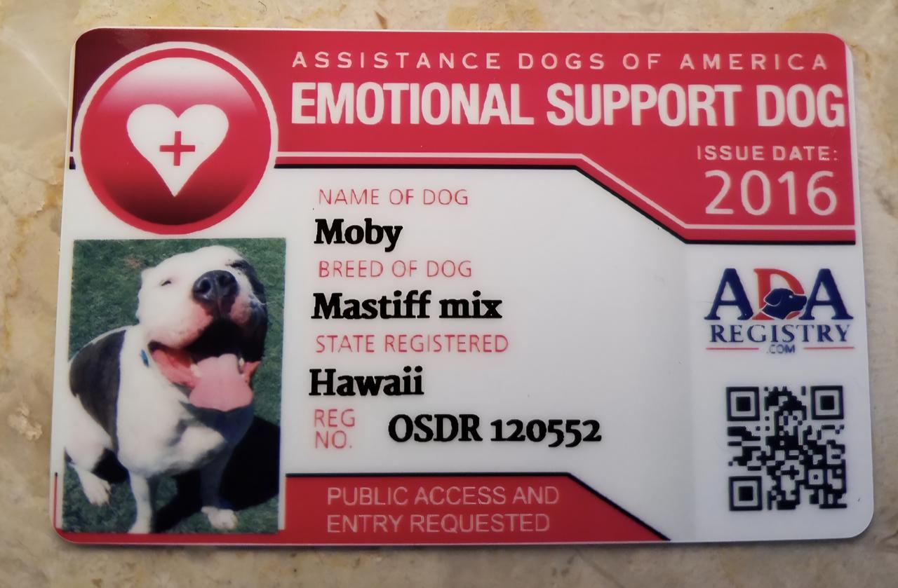 Profile photo 10 of 10