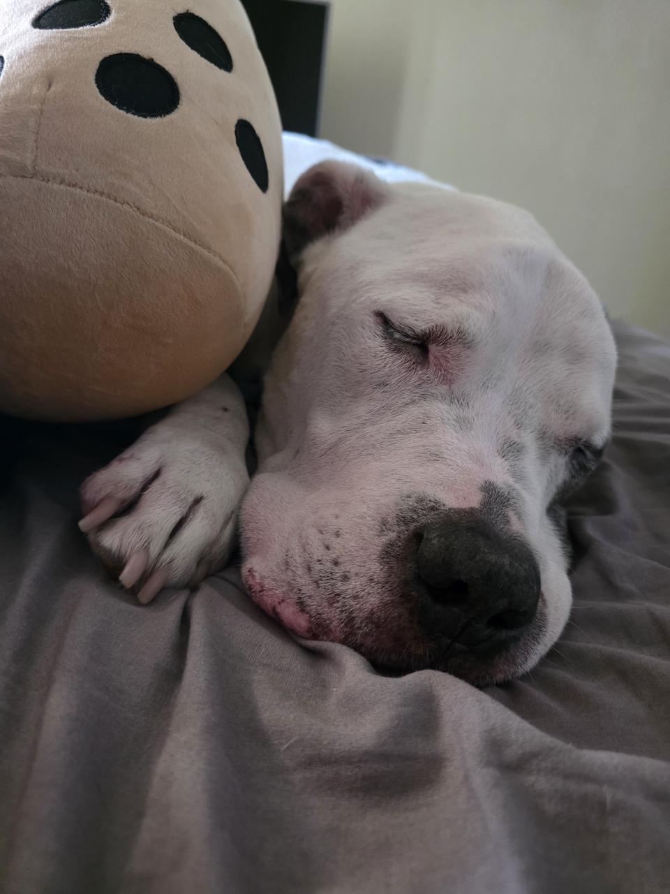 Profile photo 6 of 10