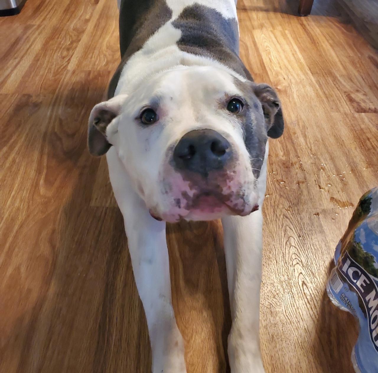 Profile photo 2 of 10