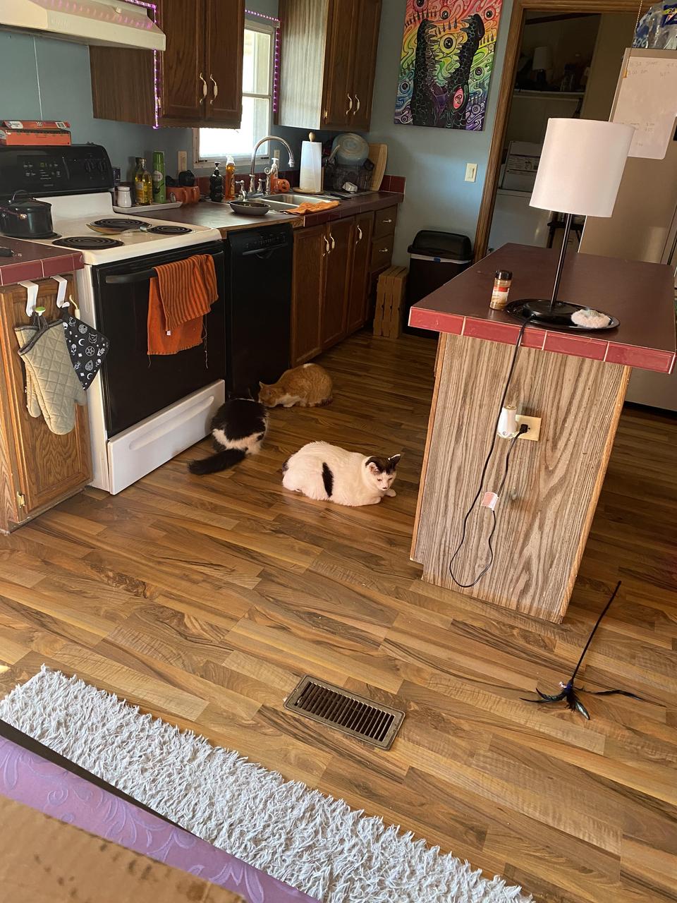 Profile photo 6 of 7