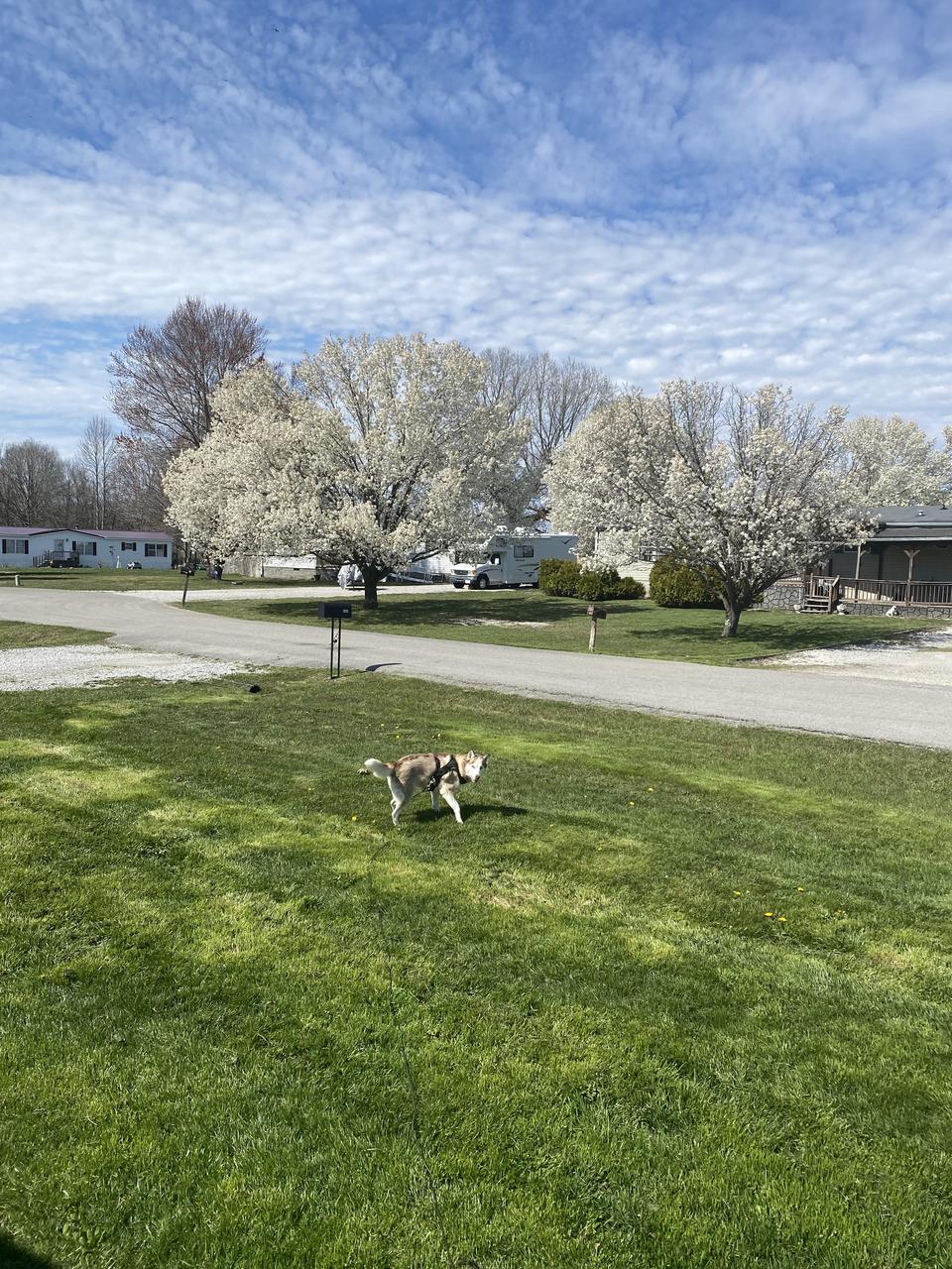 Profile photo 5 of 7