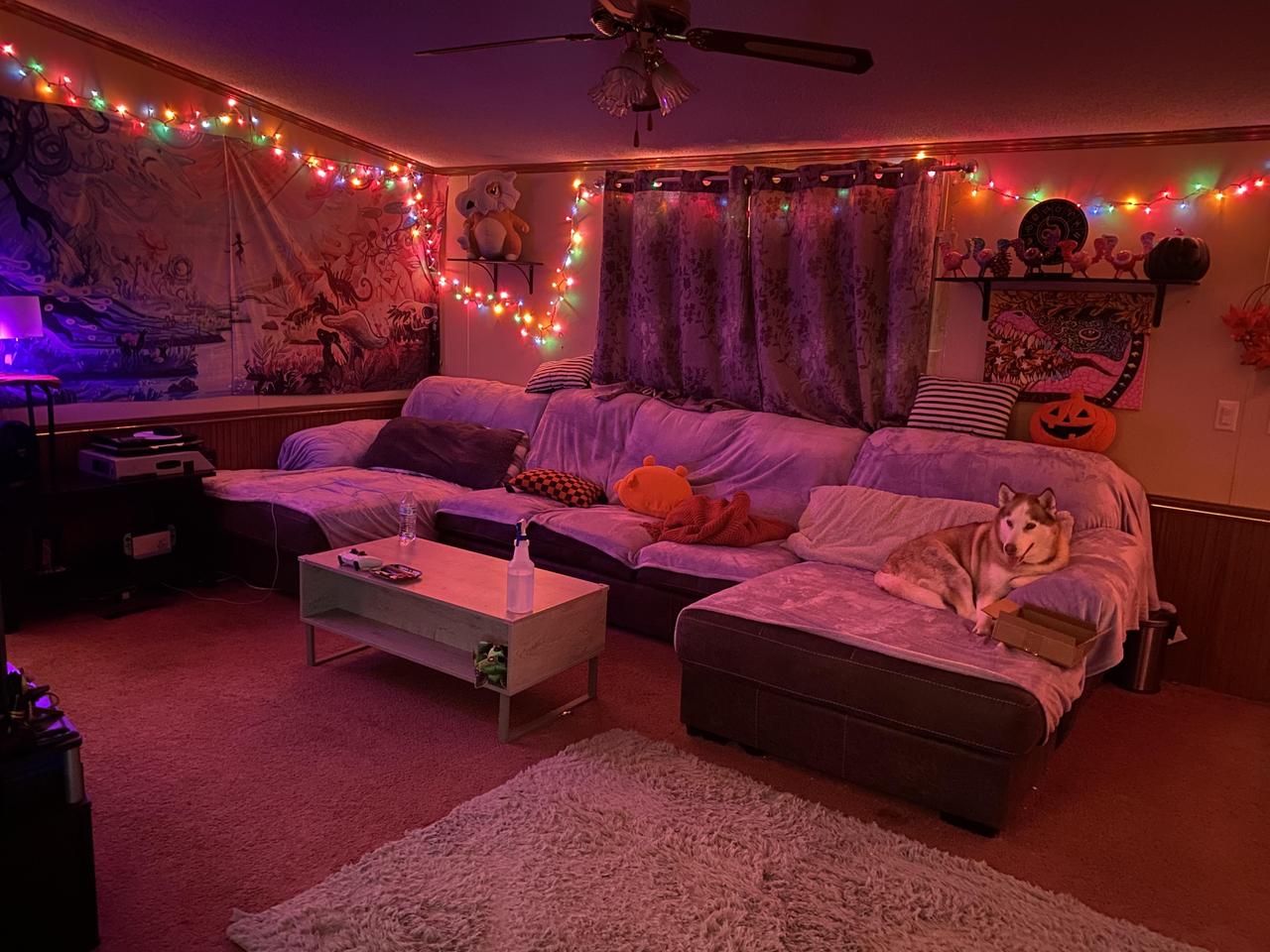 Profile photo 4 of 7