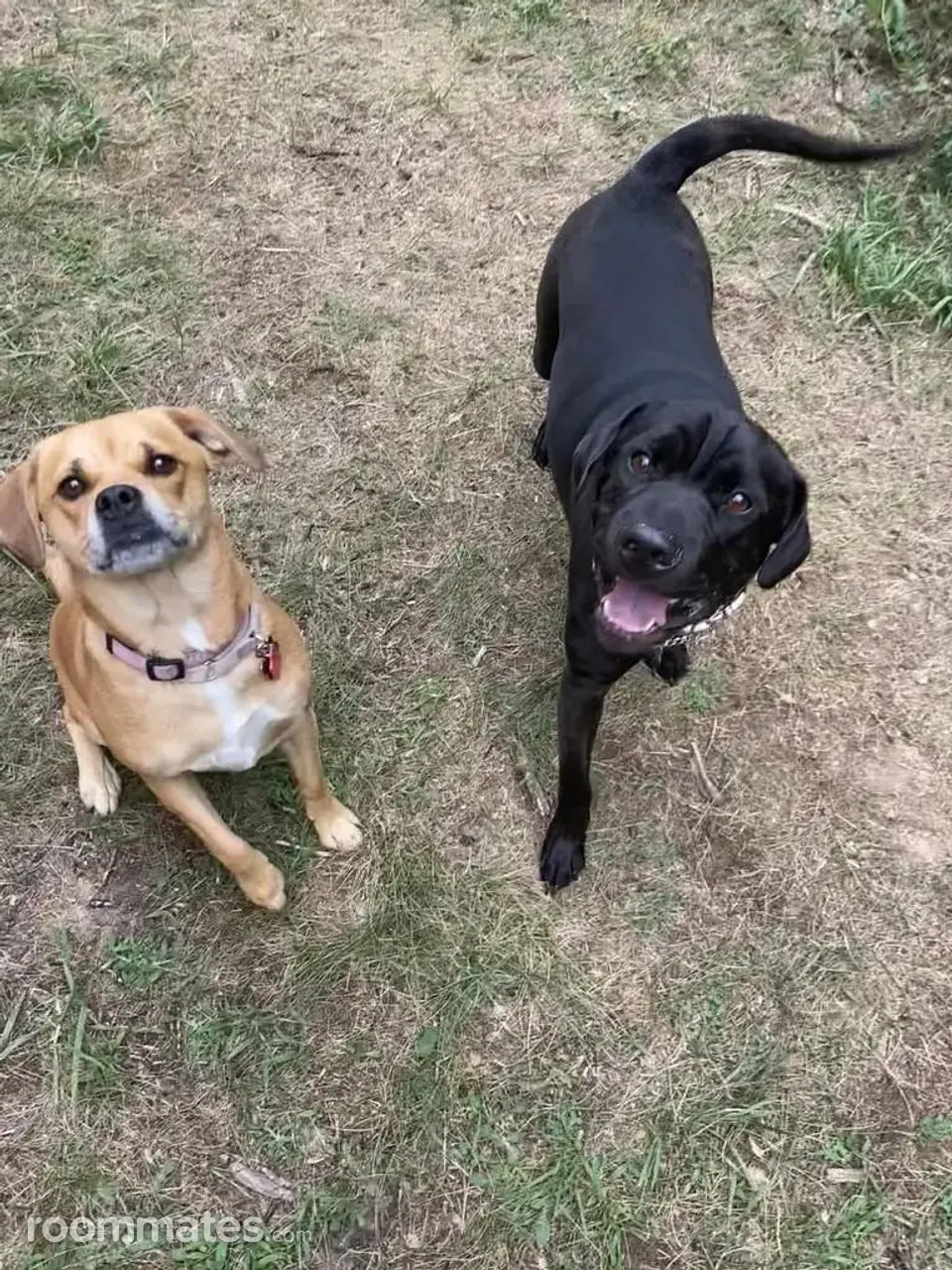 Profile photo 2 of 3