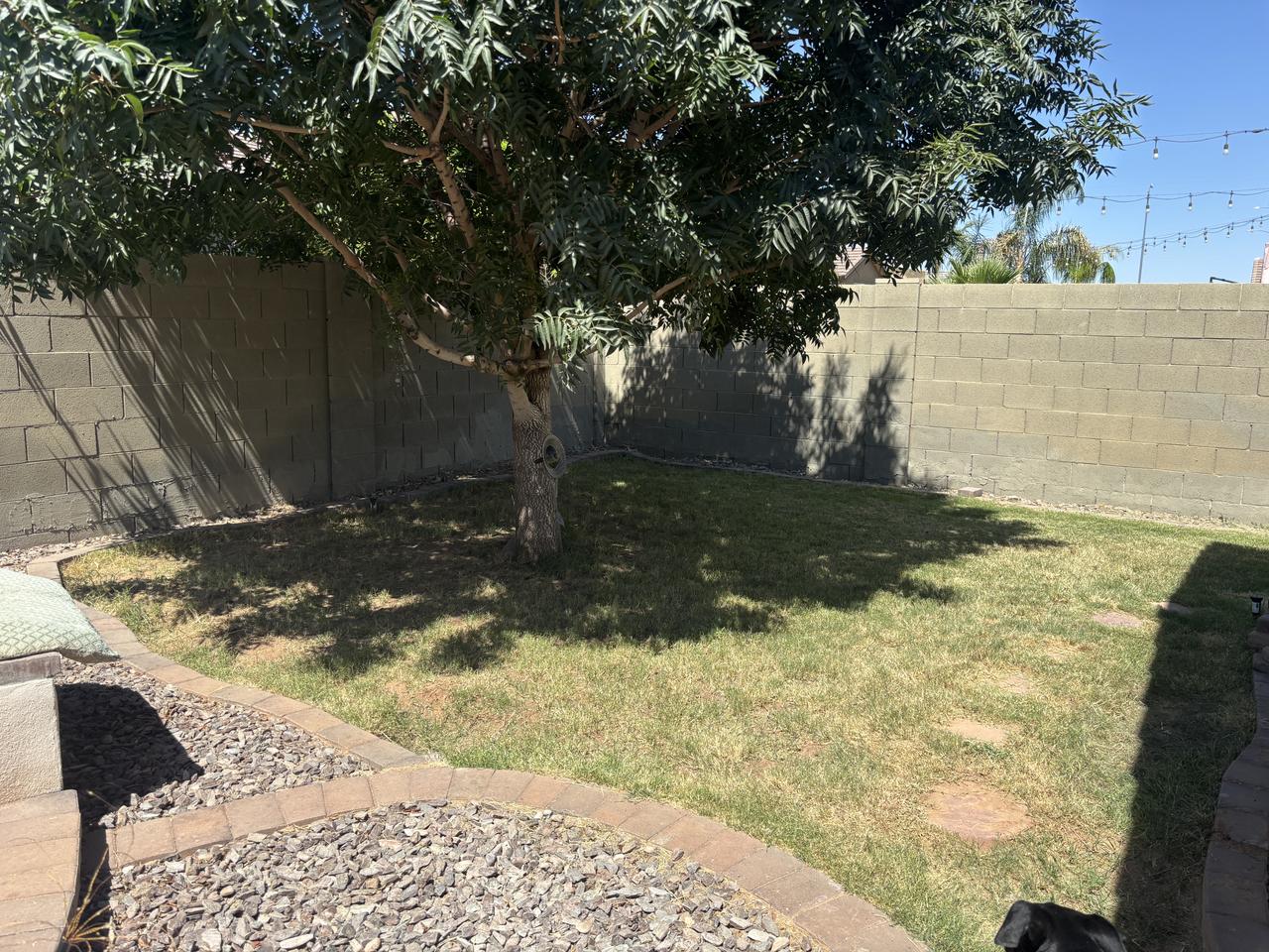 Profile photo 7 of 8