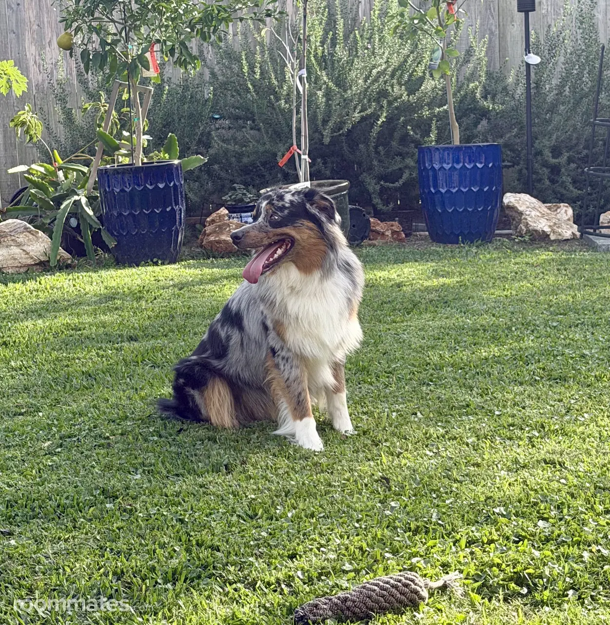 Profile photo 8 of 11