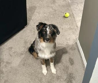 Room for rent in Texas City, TX $700, house