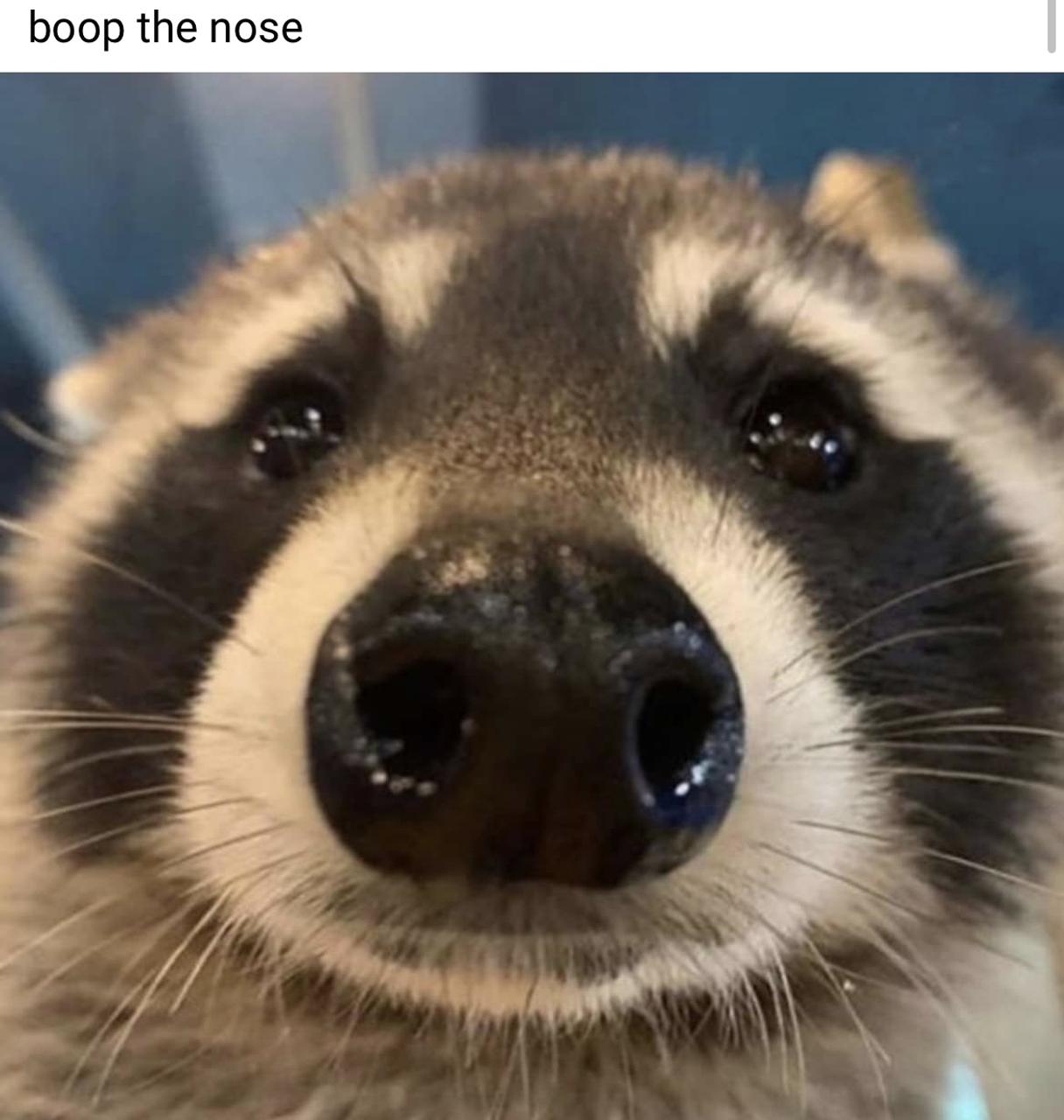 Profile photo 1 of 1