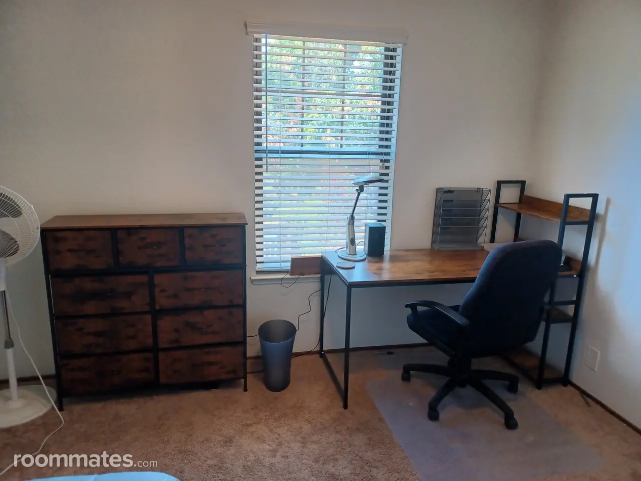 Profile photo 4 of 7