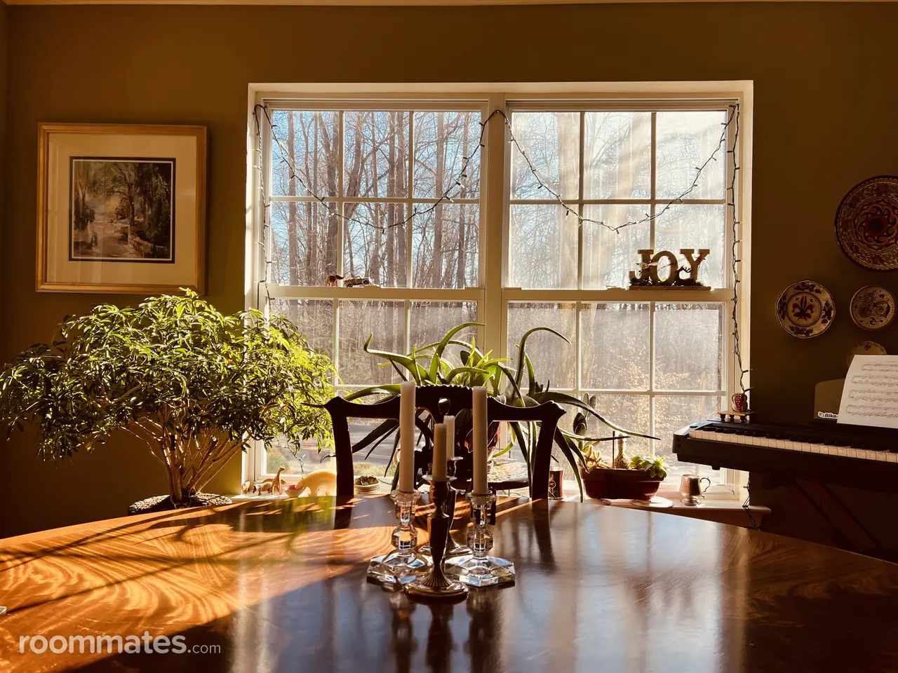 Profile photo 1 of 13