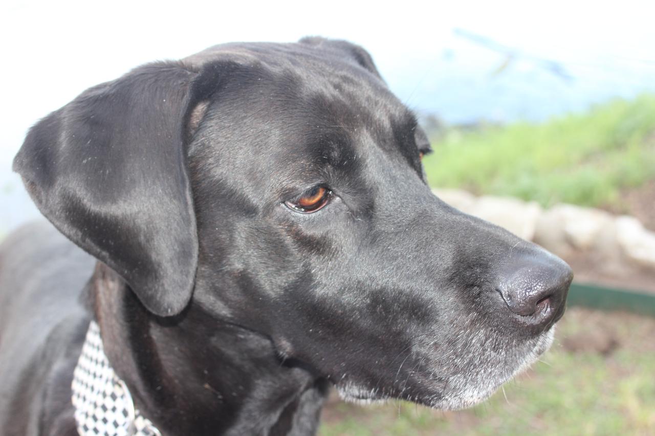 Profile photo 8 of 9