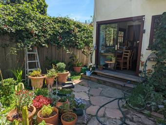 Room for rent in Berkeley, California $1000, house