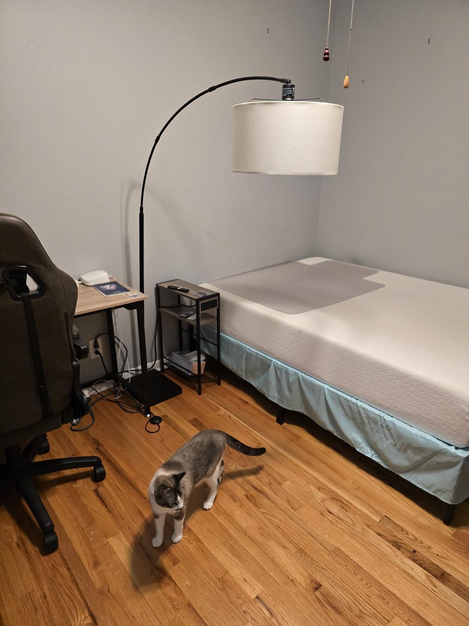 Profile photo 2 of 5