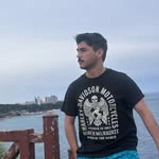 Roommate looking Houston, TX, $600
