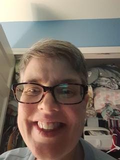 Roommate looking Rochester, MI, $200