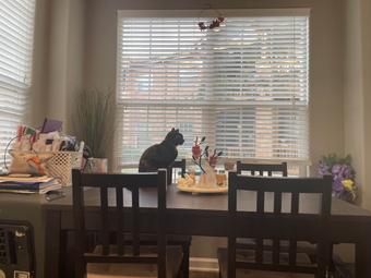 Room for rent in Superior, Colorado $1500, apartment