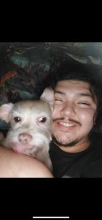 Roommate looking Burbank, CA, $200
