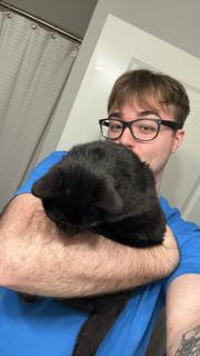 Room for rent in Austin, Texas $1800, apartment