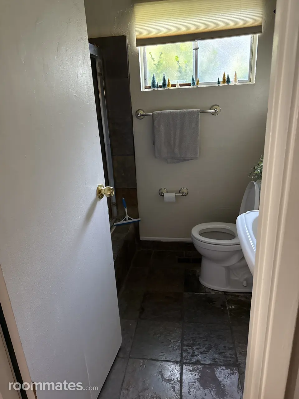 Profile photo 9 of 11