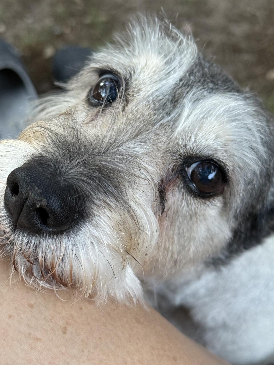 Profile photo 1 of 1