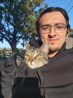 Roommate looking Irvine, CA, $1800