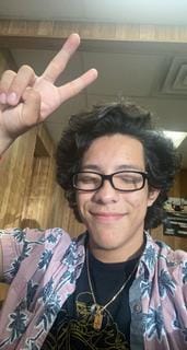Roommate looking Lisle, IL, Downers Grove, IL, Bolingbrook, IL, $700