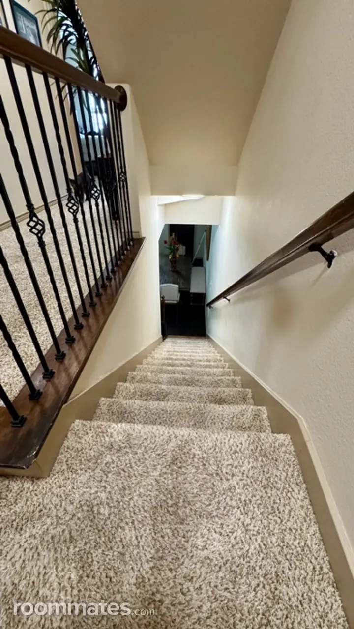 Profile photo 8 of 11