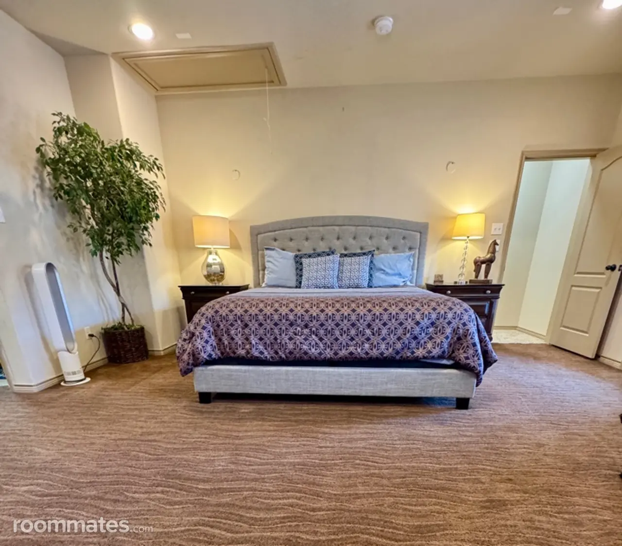 Profile photo 5 of 11