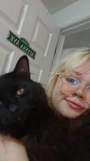 Roommate looking Garden City, MI, $500