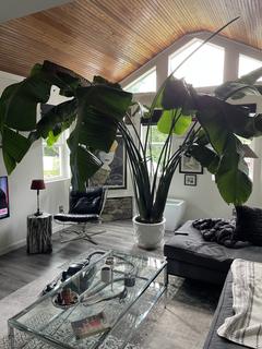 Room for rent in Framingham, MA $1000, house