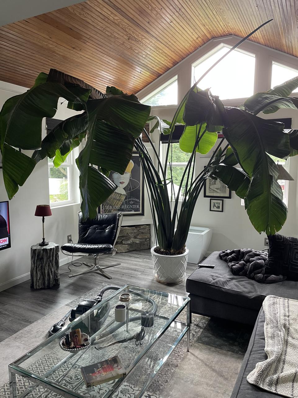 Profile photo 2 of 10