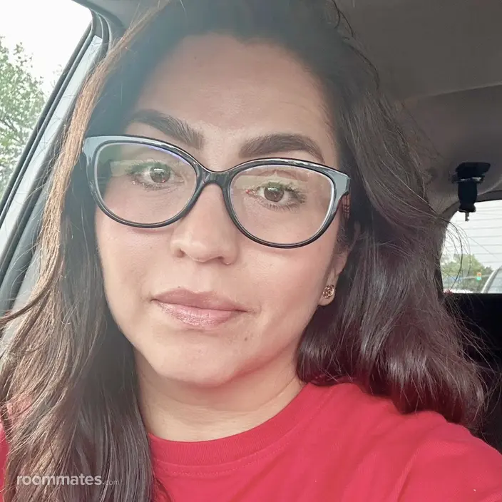 Roommate looking Chantilly, VA, $1200