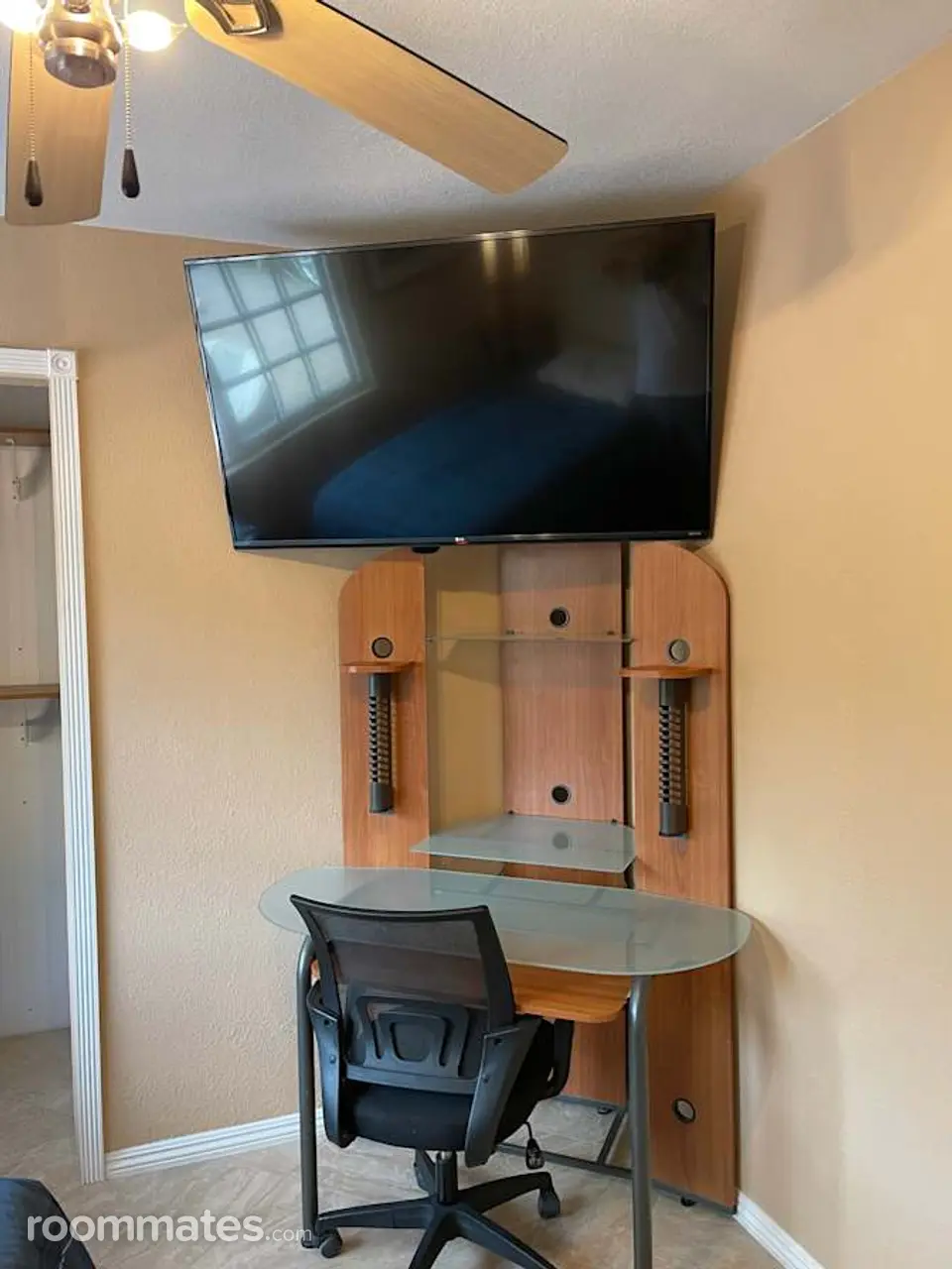 Profile photo 5 of 6