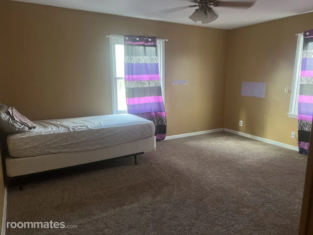 Profile photo 3 of 5