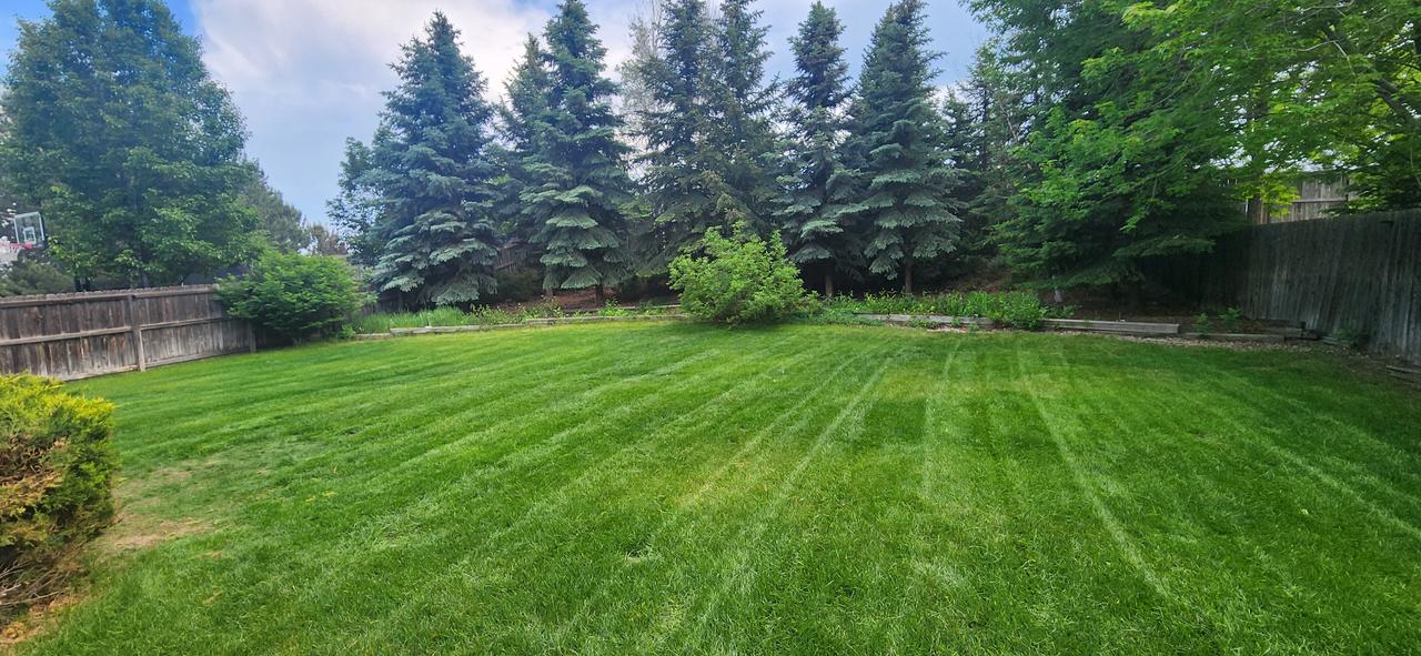 Profile photo 7 of 8