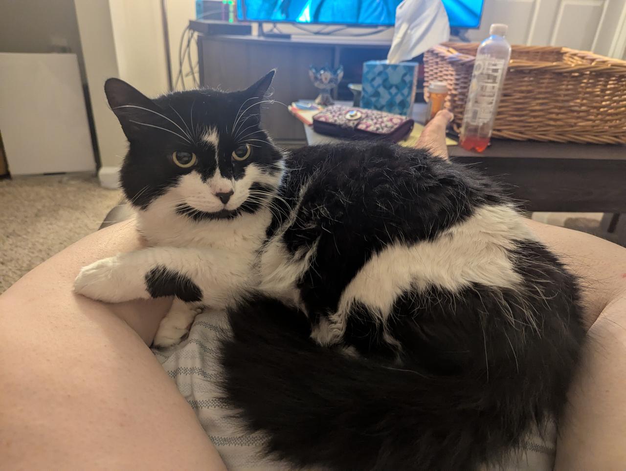 Profile photo 3 of 3