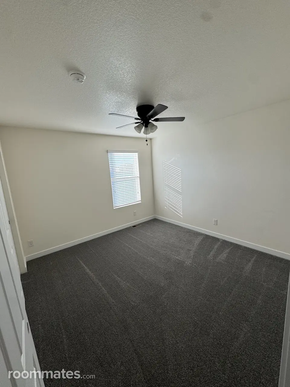 Profile photo 2 of 6