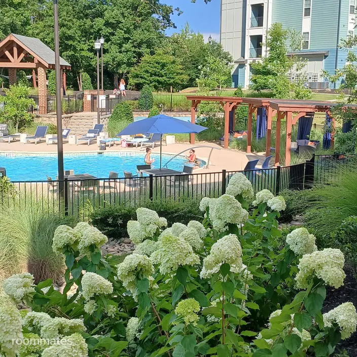 Room for rent in Greenville, SC $775, apartment