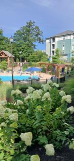 Room for rent in Greenville, SC $775, apartment