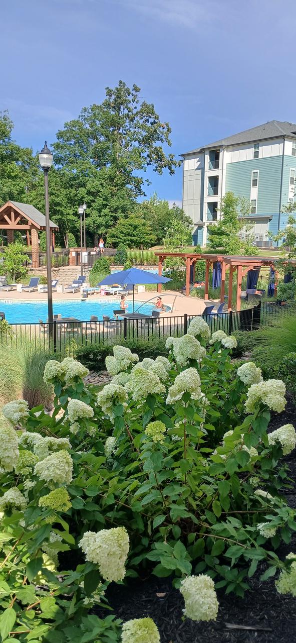 Profile photo 1 of 15