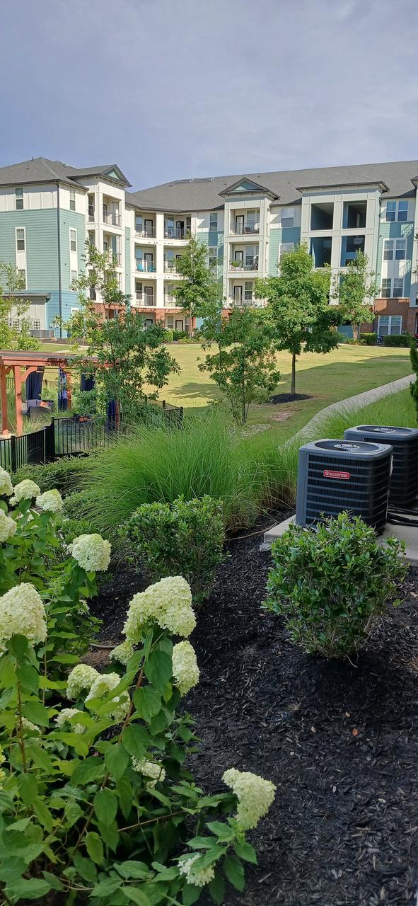 Profile photo 2 of 15