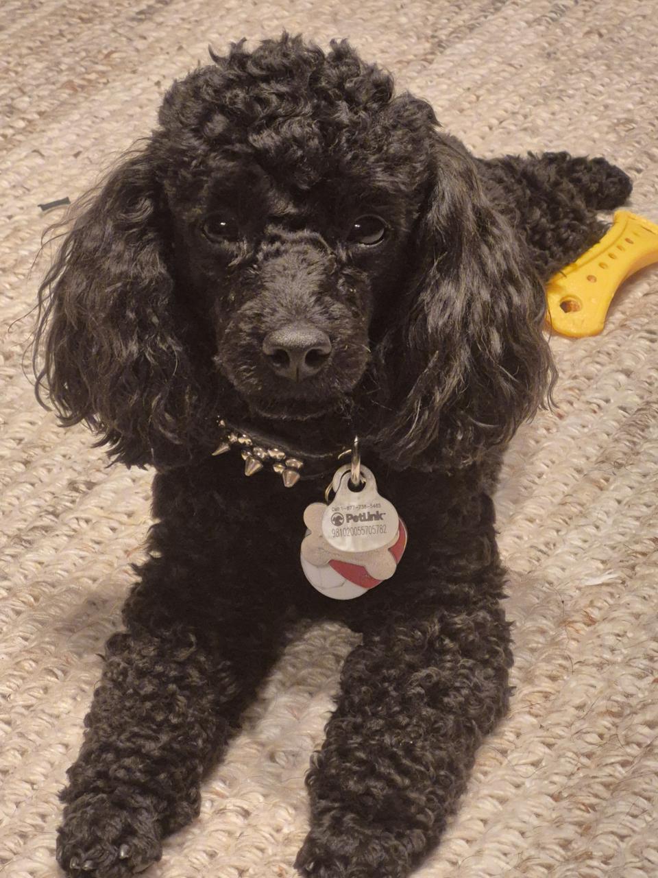 Profile photo 2 of 2