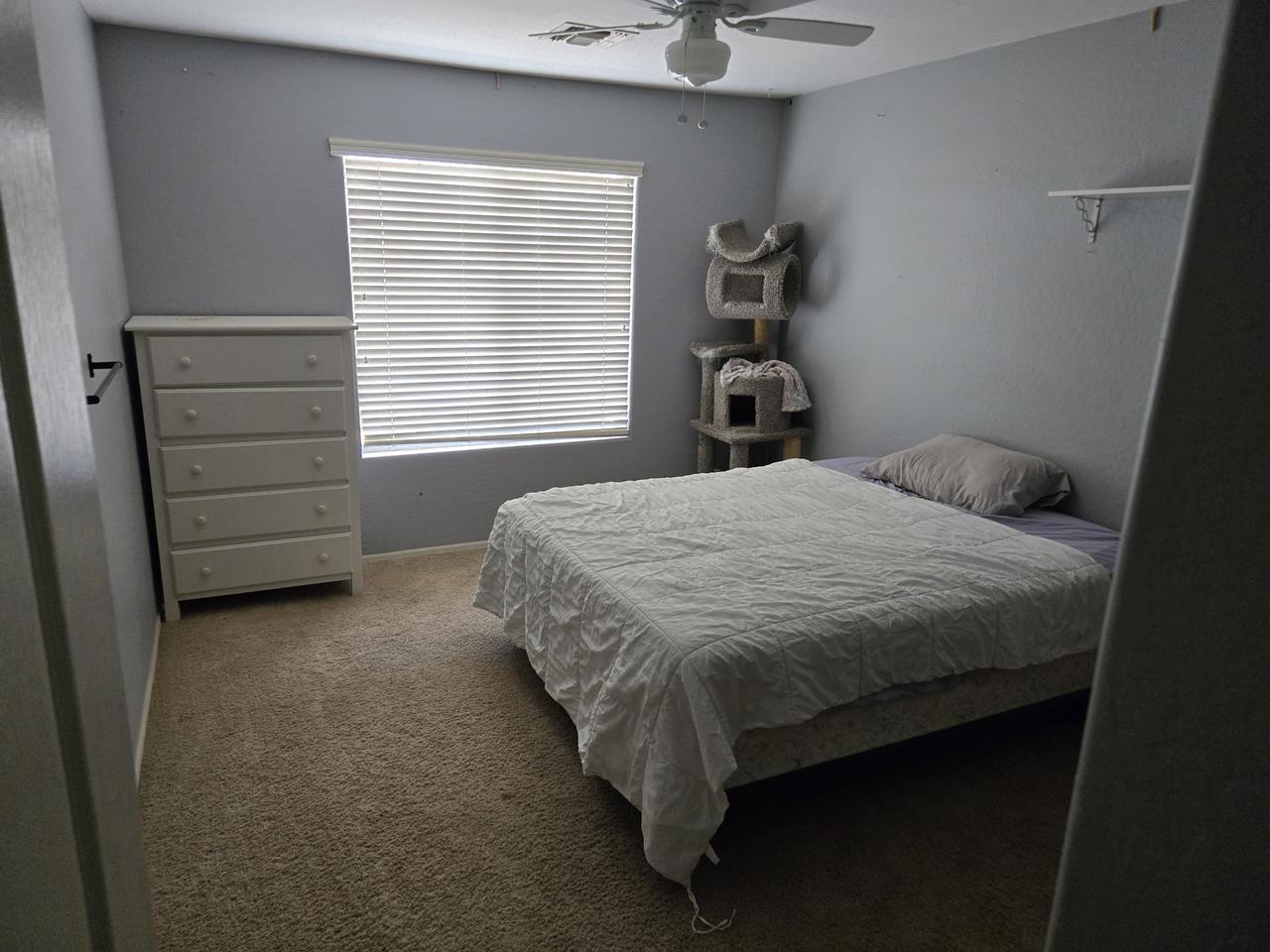 Profile photo 7 of 11